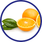Ingredient: Vitamin C as oranges