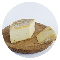 Colostrum Cheese