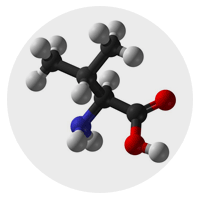 L-Valine