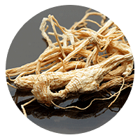 ​Korean Ginseng