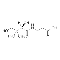 Pantothenic Acid