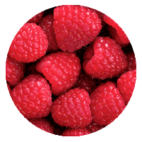 Red Raspberry