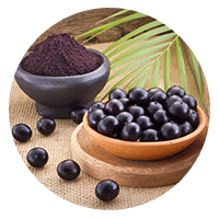 acai-fruit