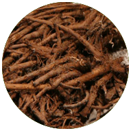 Dandelion Root Extract