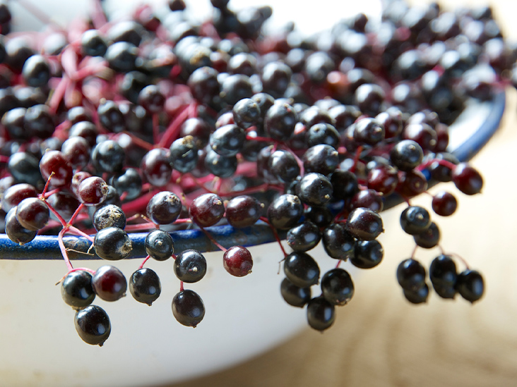 The Power of Elderberries: Why It’s a MUST-HAVE