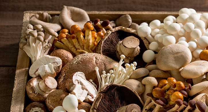 The Surprising Summertime Benefits of Medicinal Mushrooms