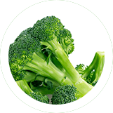 Ingredient: Broccoli