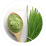 Ingredient: Wheatgrass