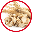 Panax Ginseng