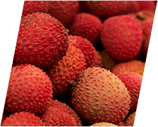 Litchi