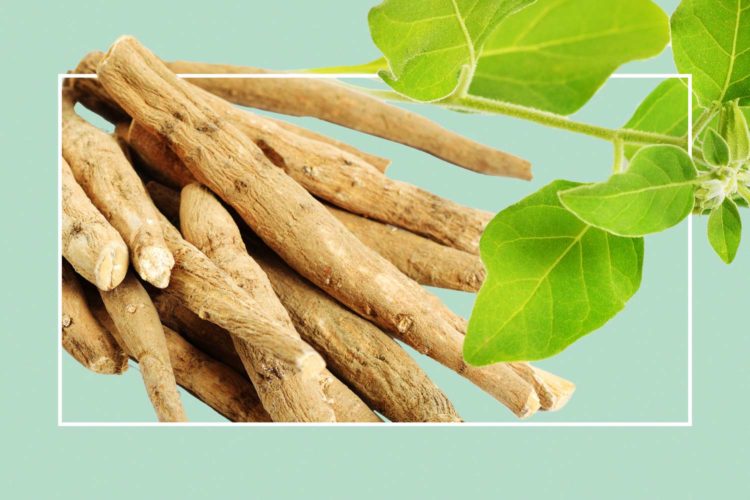 What Vitamins Increase Seminal Fluid Types Benefits what-vitamins-increase-seminal-fluid-types-benefits