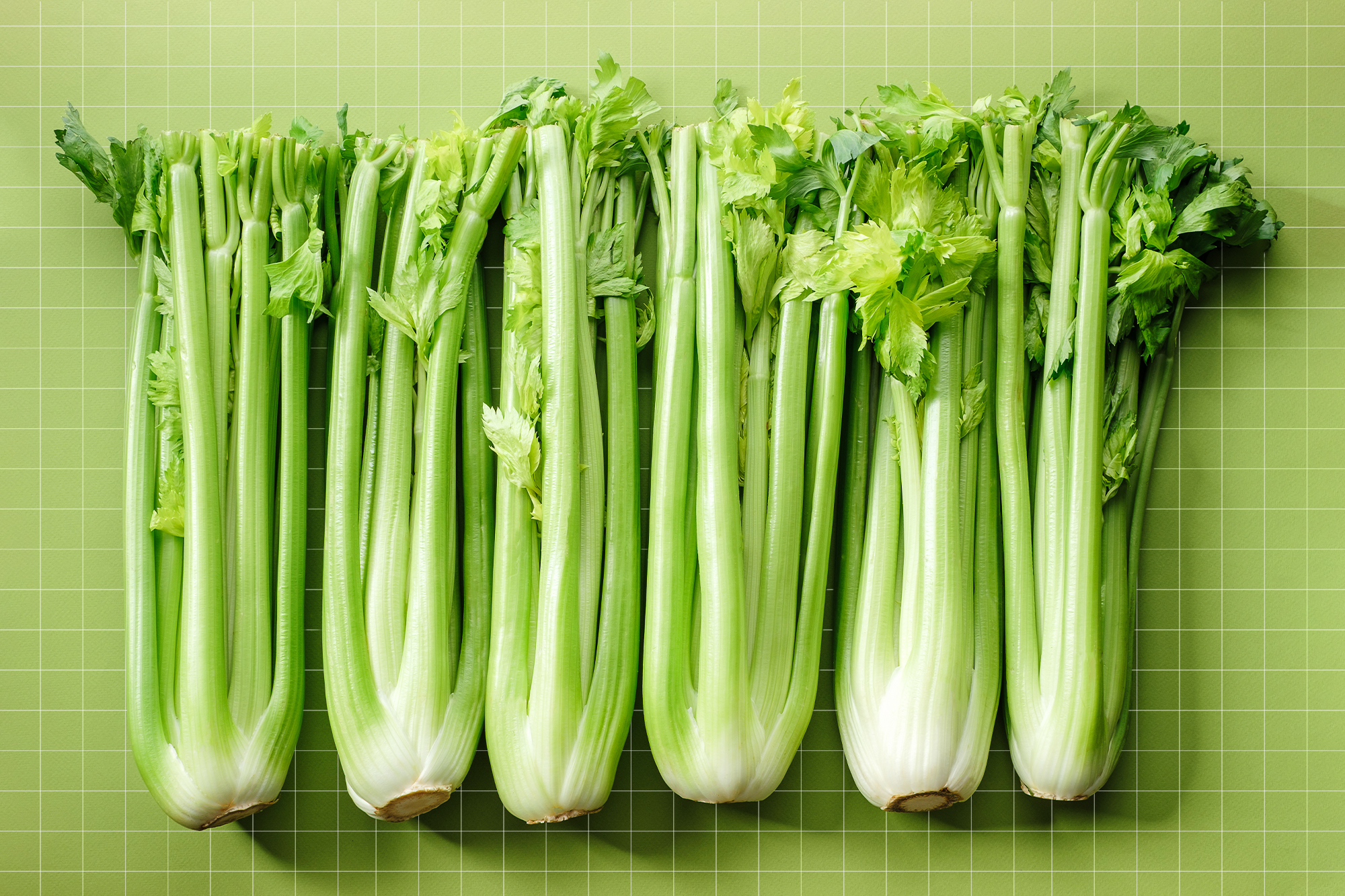 Does Celery Make You Cum More? (Answers & Pro Tips)