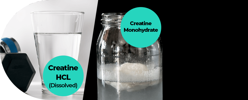 Creatine HCL vs Creatine Monohydrate