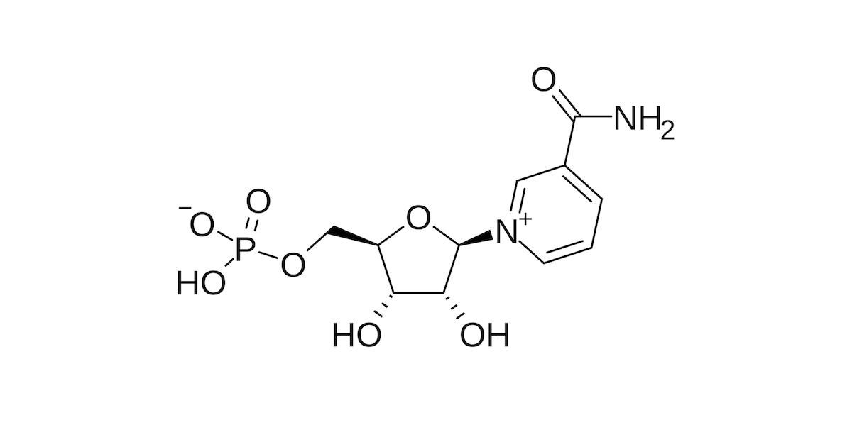 NMN improves metabolism and energy production