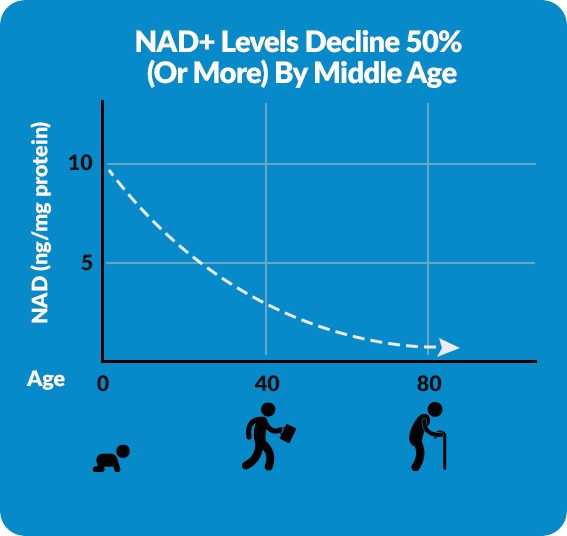 Graph: NAD+ Levels Decline