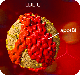 Lipid Profiles
