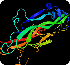 Neurotrophic Benefits