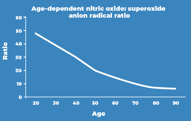 Graph: Age Dependent Nitric Oxide superoxide anion radical ratio
