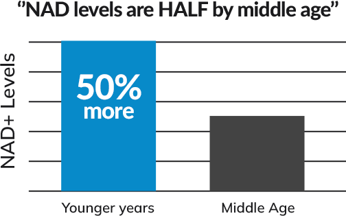Chart: NAD+ Levels