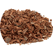 Pygeum Africanum
