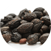 Saw Palmetto Extract