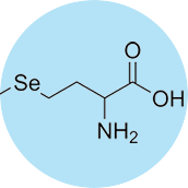 Selenium (Selenomethionine)