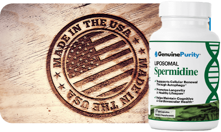 Spermidine - Made in the USA