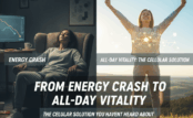 From Energy Crash to All-Day Vitality: The Cellular Solution You Haven’t Heard About