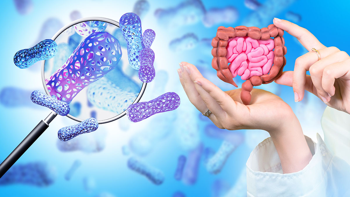 Why You Should Be Taking Probiotics: The Science Behind Gut Health