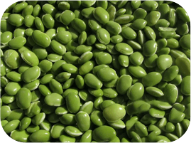 Plant-Based 5-HTP as Griffonia simplicifolia seeds