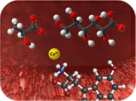 Enhanced Absorption with Calcium - Molecules