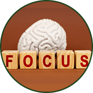 Cognitive Performance - GenuinePurity® Magnesium Complex