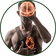 Brain & Heart Health - GenuinePurity® Magnesium Complex