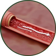 Healthy Circulation & Blood Flow - GenuinePurity® CoQ10