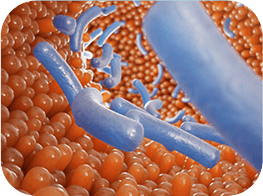 GenuinePurity Probiotic-60