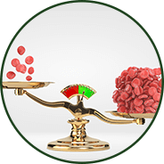 Blood Sugar Balance - GenuinePurity® Turmeric