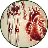 Heart & Bone Health - GenuinePurity® Turmeric