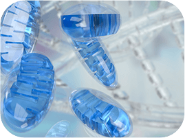 GenuinePurity Turmeric