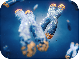 GenuinePurity Turmeric