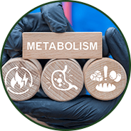 Energy & metabolism - GenuinePurity<sup>®</sup> Ashwagandha