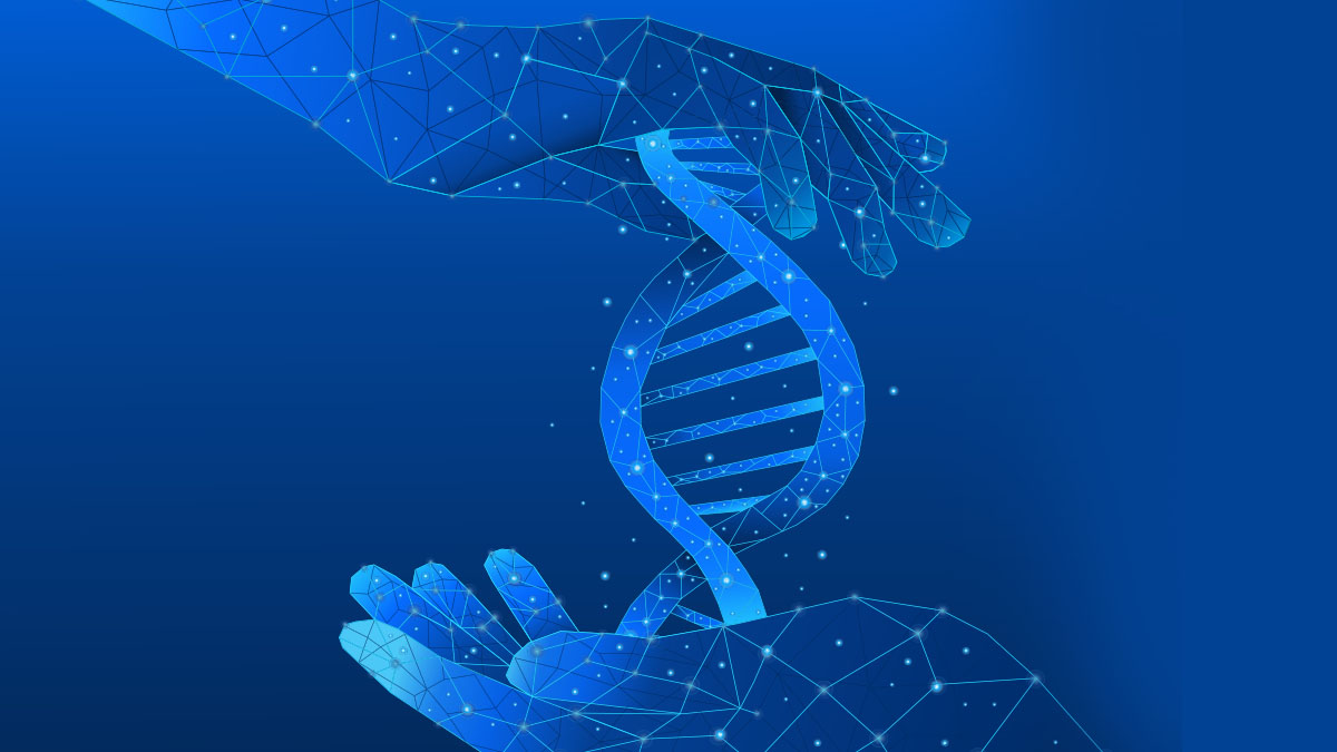 The Longevity Blueprint