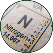 Nitrogen balance - GenuinePurity AKG