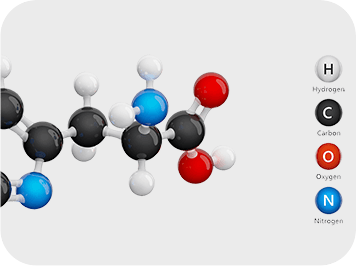 Homocysteine Metabolism - GenuinePurity Liposomal AKG