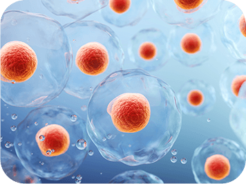 Epigenetic Regulation - GenuinePurity Liposomal AKG