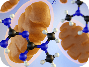 GenuinePurity Liposomal Alpha Lipoic Acid