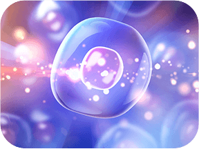 GenuinePurity Liposomal Alpha Lipoic Acid
