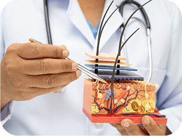 GenuinePurity Liposomal HLA