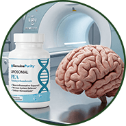 Brain & Cognitive Function - GenuinePurity