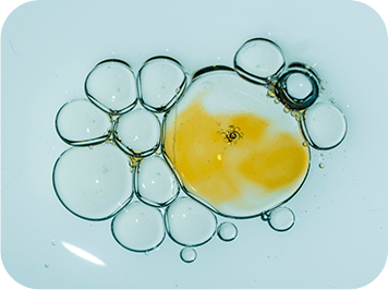 Cellular Osmoprotection - GenuinePurity Liposomal TMG