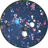 Methylation pathways - GenuinePurity
